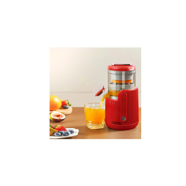 350W Juicer Mixer Grinder